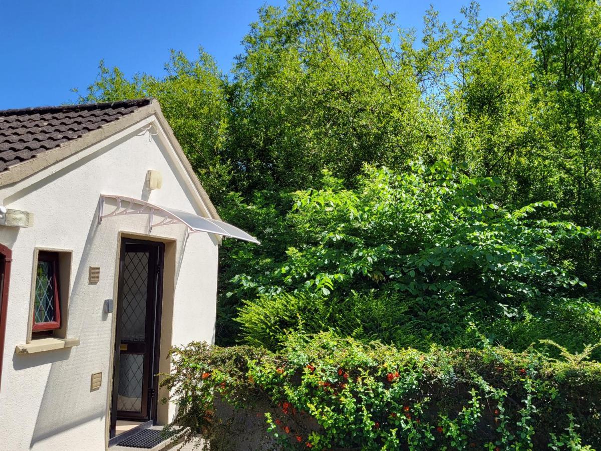 Oak Cottage 3 Km From Rock Of Cashel Cashel  Exterior photo