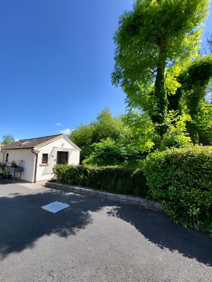 Oak Cottage 3 Km From Rock Of Cashel Cashel  Exterior photo